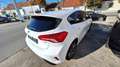 Ford Focus ST-Line 1,0 EcoBoost Hybrid  155 Blanc - thumbnail 3