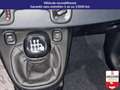 Fiat Panda 1.0 70 ch hybride bsg s/s panda city Jaune - thumbnail 13