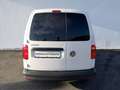 Volkswagen Caddy Caddy Kastenwagen 1,0 TSI Weiß - thumbnail 6