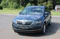 Skoda Karoq 2,0 TDI SCR 4x4 Style 125 DSG Grau - thumbnail 3