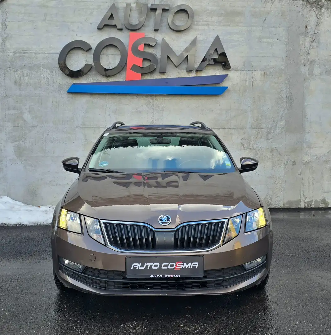 Skoda Octavia Ambition Braun - 2