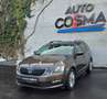 Skoda Octavia Ambition Braun - thumbnail 1