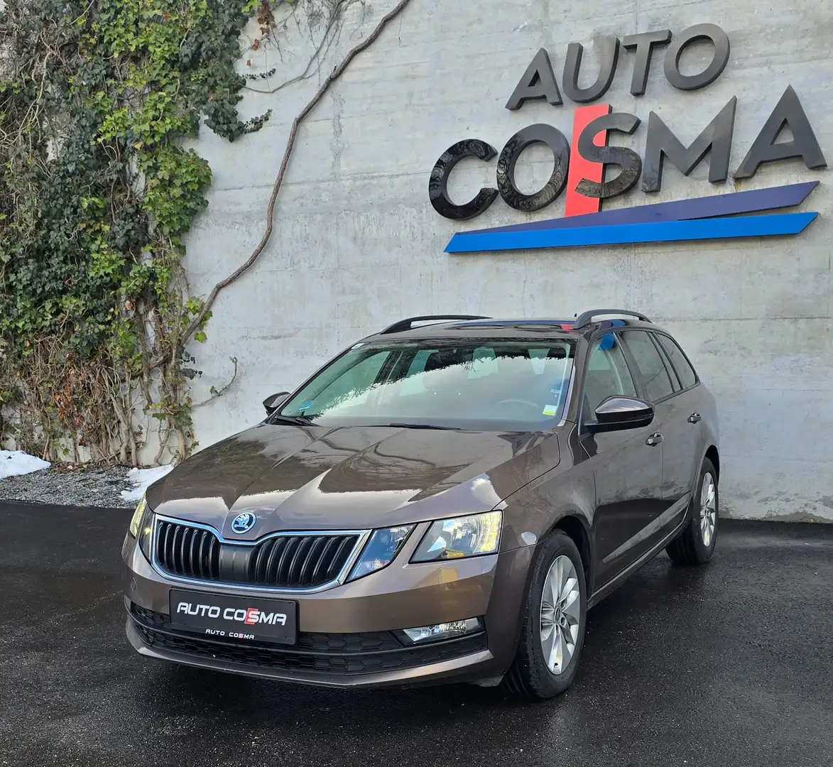Skoda Octavia Ambition Braun - 1