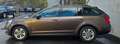 Skoda Octavia Ambition Braun - thumbnail 5