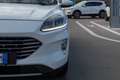 Ford Kuga 1.5 EcoBlue 120 CV 2WD Titanium Bianco - thumbnail 11
