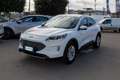 Ford Kuga 1.5 EcoBlue 120 CV 2WD Titanium Bianco - thumbnail 3