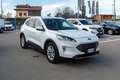 Ford Kuga 1.5 EcoBlue 120 CV 2WD Titanium Bianco - thumbnail 1