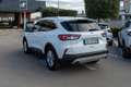 Ford Kuga 1.5 EcoBlue 120 CV 2WD Titanium Bianco - thumbnail 5