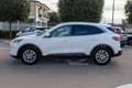 Ford Kuga 1.5 EcoBlue 120 CV 2WD Titanium Bianco - thumbnail 4