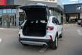 Ford Kuga 1.5 EcoBlue 120 CV 2WD Titanium Bianco - thumbnail 7