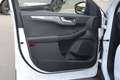 Ford Kuga 1.5 EcoBlue 120 CV 2WD Titanium Bianco - thumbnail 12