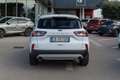 Ford Kuga 1.5 EcoBlue 120 CV 2WD Titanium Bianco - thumbnail 6