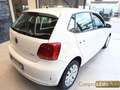 Volkswagen Polo 1.2 5 porte Trendline Bianco - thumbnail 9