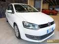 Volkswagen Polo 1.2 5 porte Trendline Bianco - thumbnail 3