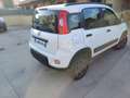 Fiat Panda Panda 0.9 t.air t. natural power Cross 70cv 5p. Weiß - thumbnail 6