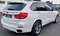BMW X5 M M50d Performance HUD Pano LED AHK Ka Soft Cl Weiß - thumbnail 12