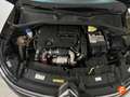 Citroen C4 Cactus BlueHDi 73KW (100CV) Business Negro - thumbnail 17