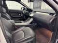 Land Rover Range Rover Evoque 2.0TD4 HSE Dynamic 4WD Aut. 180 Wit - thumbnail 33