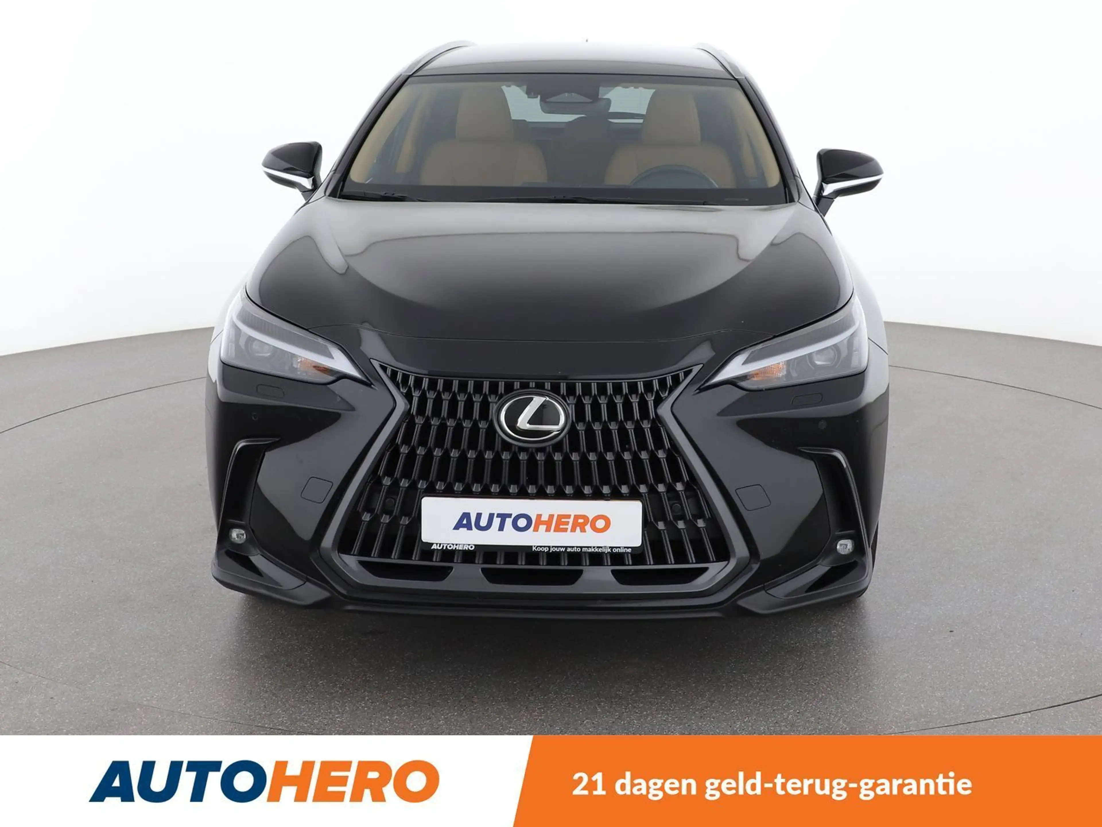Lexus NX 450h+ NX 450h+ E-Four Luxury Line — photo 9