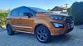 Ford EcoSport 1,0 EcoBoost ST-Line - thumbnail 8
