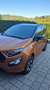 Ford EcoSport 1,0 EcoBoost ST-Line - thumbnail 1