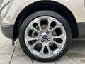 Ford EcoSport 1.0 EcoBoost TITANIUM X *AUTOMATIK* Gris - thumbnail 9