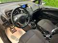 Ford B-Max TitaniumOK NEOPATENTATI TUA SENZA ANTICIPO€ 147 Bianco - thumbnail 9