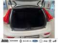 Volvo V40 T2 Momentum KLIMA LED NAVI PDC BC - thumbnail 6