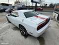 Dodge Challenger SXT 3.6 V6 309 ch Blanc - thumbnail 3