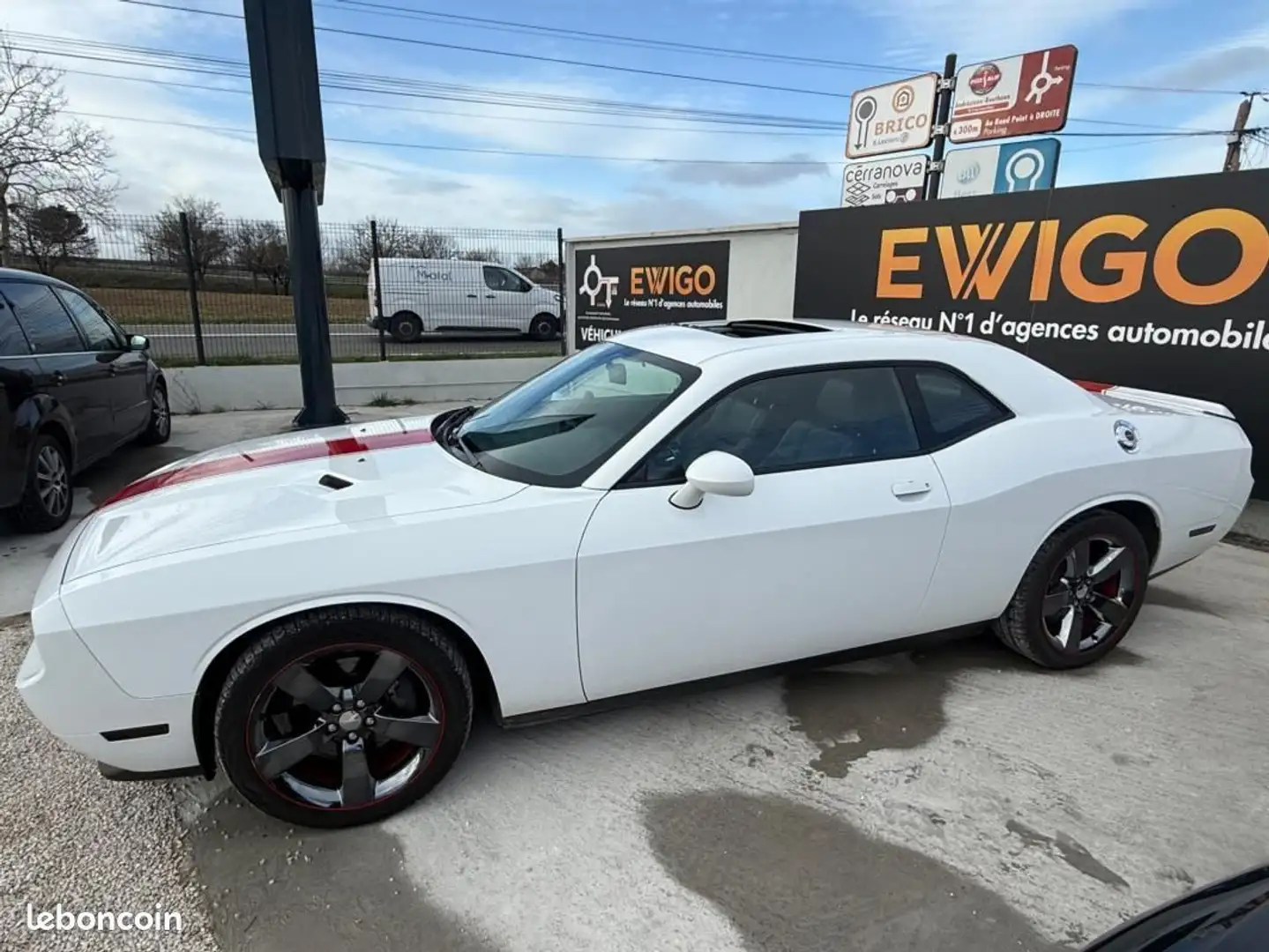 Dodge Challenger SXT 3.6 V6 309 ch Blanc - 2