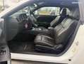 Dodge Challenger SXT 3.6 V6 309 ch Blanc - thumbnail 8