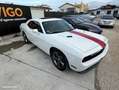 Dodge Challenger SXT 3.6 V6 309 ch Blanc - thumbnail 7