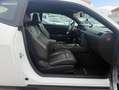 Dodge Challenger SXT 3.6 V6 309 ch Blanc - thumbnail 13
