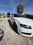 Audi A4 Avant 2.0 tdi Advanced multitronic fap - thumbnail 7