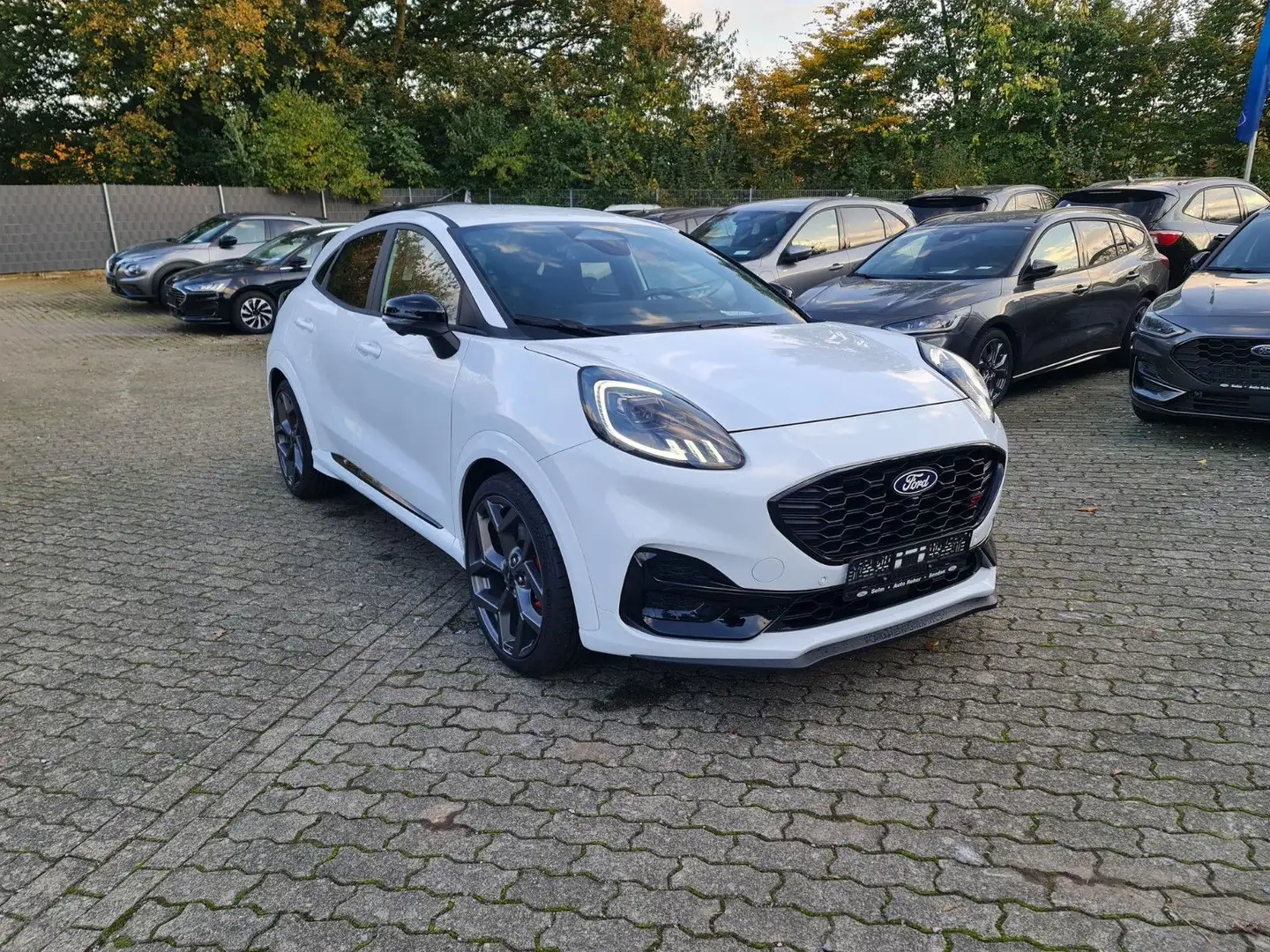 Ford Puma ST X Autom. 125kW ACC/Bliss/matrix LED Weiß - 1