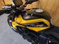 MV Agusta Dragster 800 RR SCS Amarillo - thumbnail 22