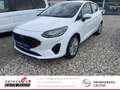 Ford Fiesta 1.0 EcoBoost Titanium Autom. Blanc - thumbnail 1