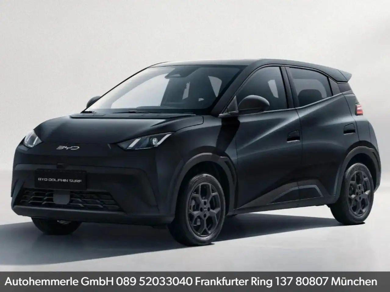 BYD DOLPHIN SURF