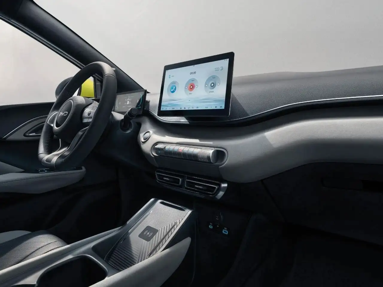 BYD DOLPHIN SURF