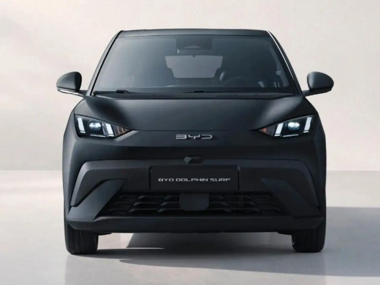 BYD DOLPHIN SURF