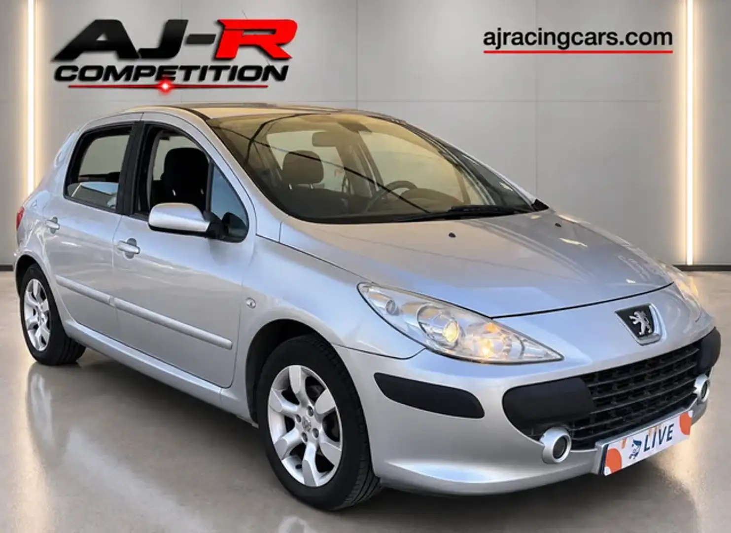 Peugeot 307 1.6 16v XS+ Gris - 2