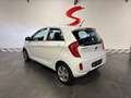 Kia Picanto Picanto 1.0i Weiß - thumbnail 2