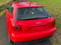 Audi A3 A3 1.6 Attraction Червоний - thumbnail 6
