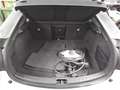 Polestar Polestar 2 Navi LED Pano RFK Shz Memory - thumbnail 12