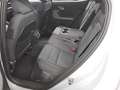 Polestar Polestar 2 Navi LED Pano RFK Shz Memory - thumbnail 13