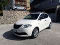 Lancia Ypsilon Ypsilon III 2015 1.2 Elefantino Blu Bianco - thumbnail 1