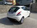 Lancia Ypsilon Ypsilon III 2015 1.2 Elefantino Blu Bianco - thumbnail 11