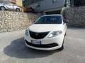 Lancia Ypsilon Ypsilon III 2015 1.2 Elefantino Blu Bianco - thumbnail 3