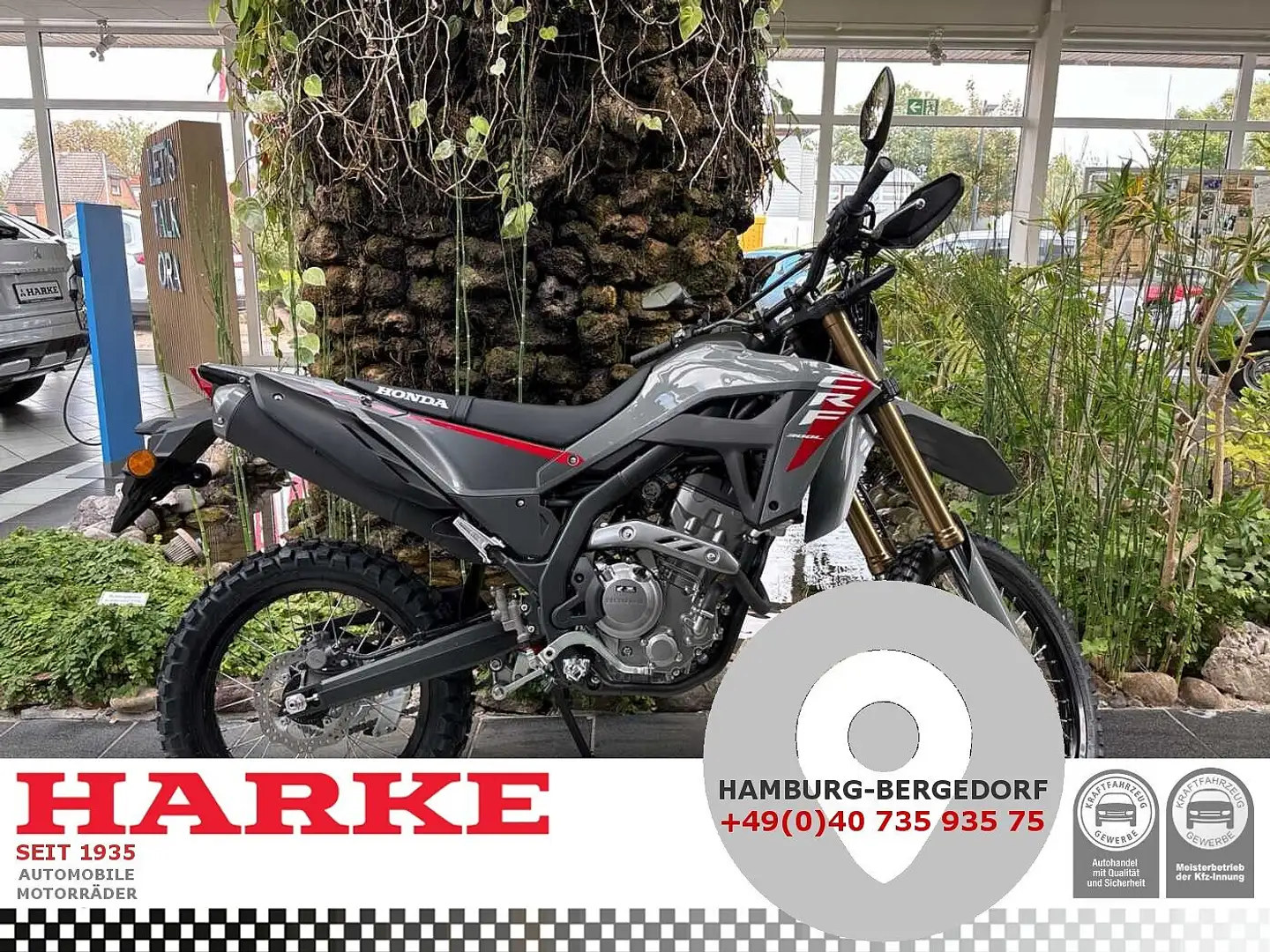 Honda CRF 300 L 2025 6 Jahre Garantie Grey - 1