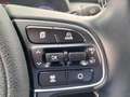 Kia e-Niro ExecutiveLine 64 kWh Navigatie /  Camera / Leder Bleu - thumbnail 20